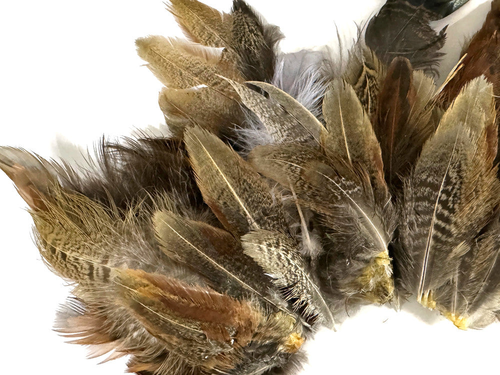 Collection 111 - Mix Random Feather Sample Pack (Bulk)