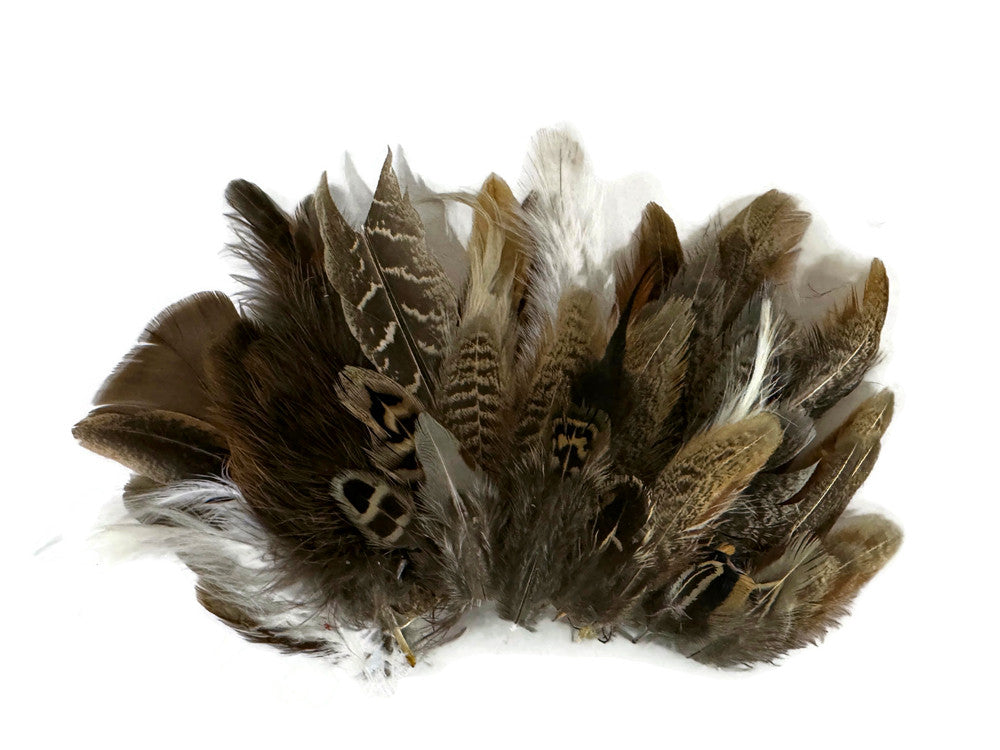 Collection 110 - Mix Random Feather Sample Pack (Bulk)