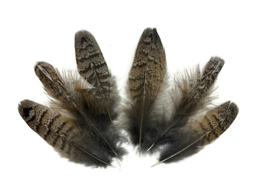 5 Pieces - Brown and Black Ruffed Grouse Secondary Tail Feathers