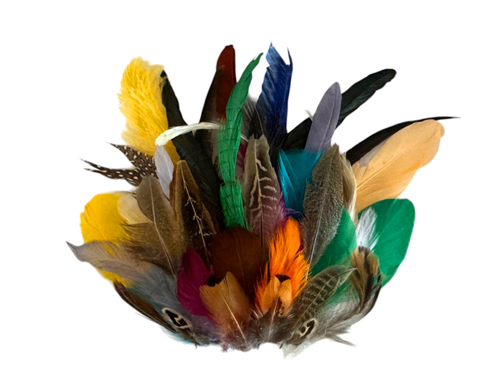 Collection 98 - Mix Random Feather Sample Pack (Bulk)