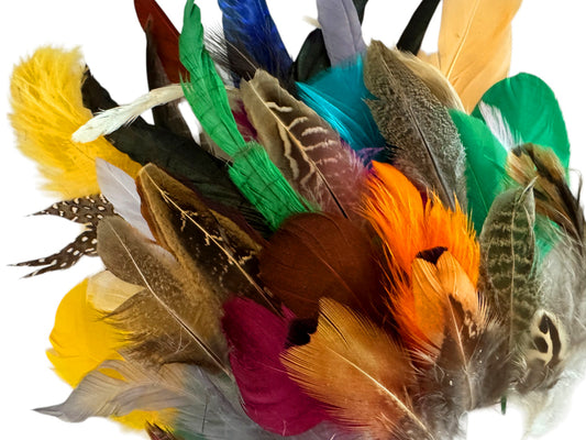 Collection 98 - Mix Random Feather Sample Pack (Bulk)