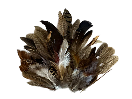 Collection 76 - Mix Random Feather Sample Pack (Bulk)