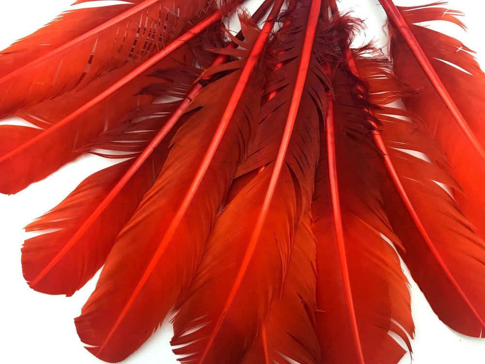 6 Pieces - Fiery Red Ombre Turkey Round Tom Wing Quill Feathers