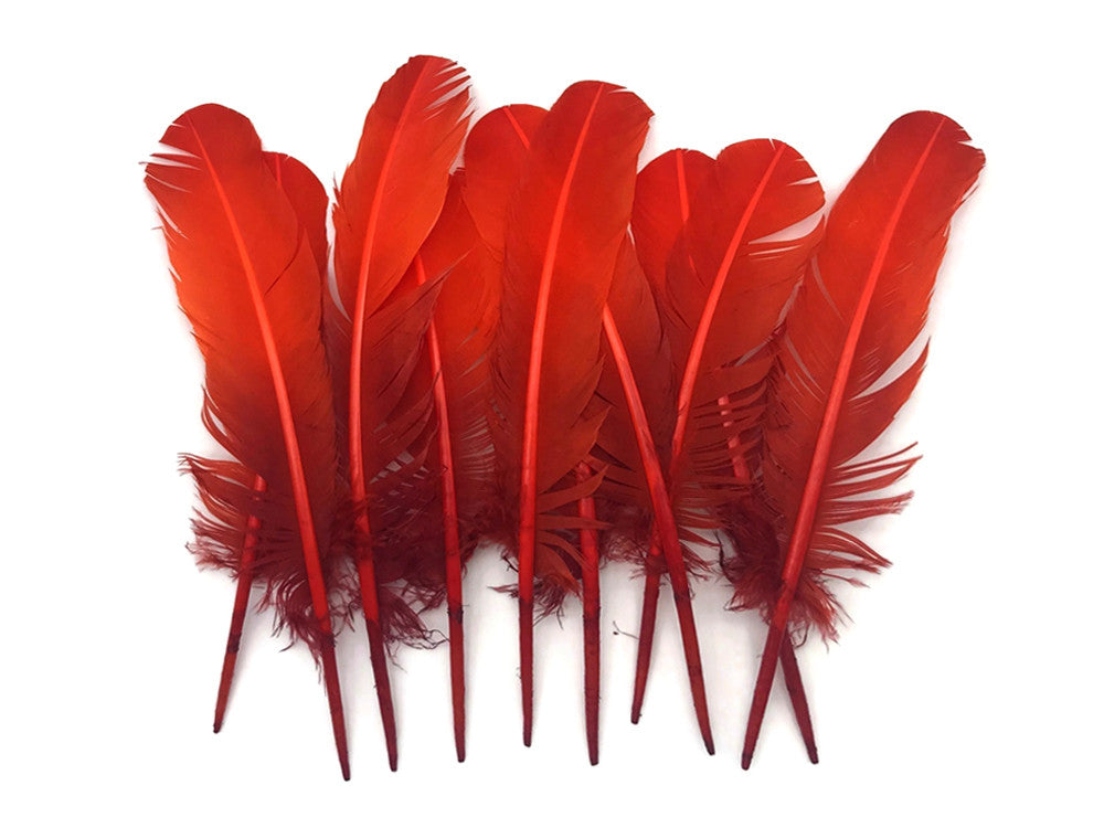 6 Pieces - Fiery Red Ombre Turkey Round Tom Wing Quill Feathers