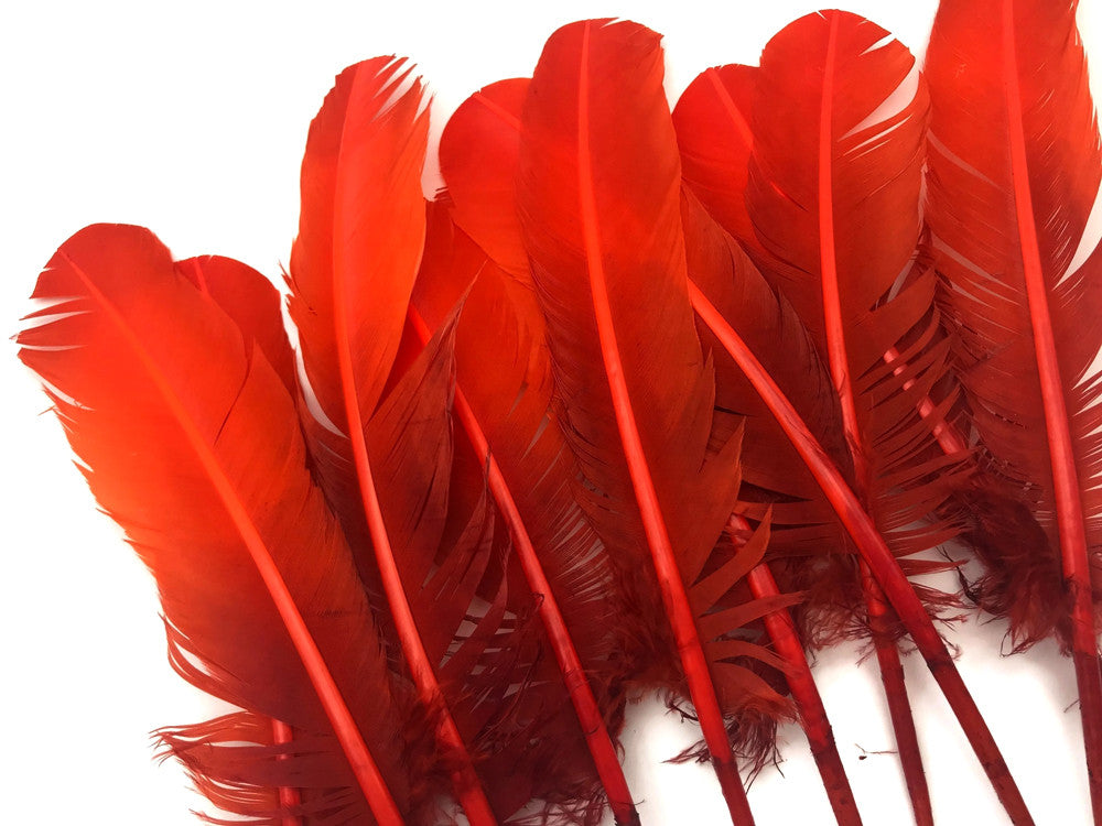 6 Pieces - Fiery Red Ombre Turkey Round Tom Wing Quill Feathers