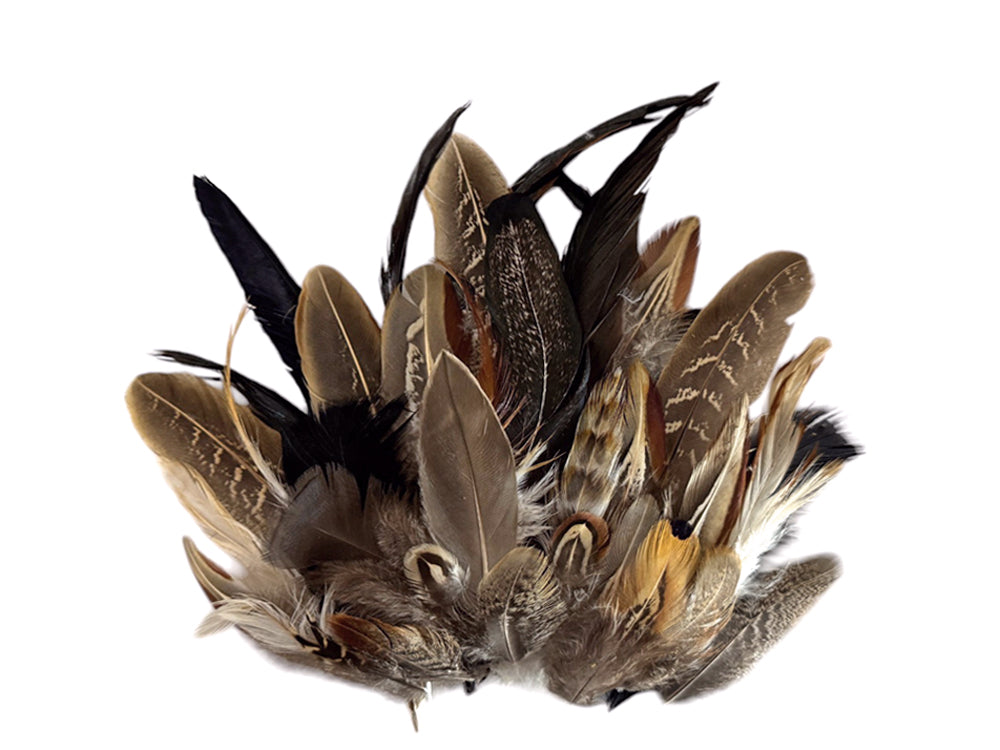 Collection 84 - Mix Random Feather Sample Pack (Bulk)