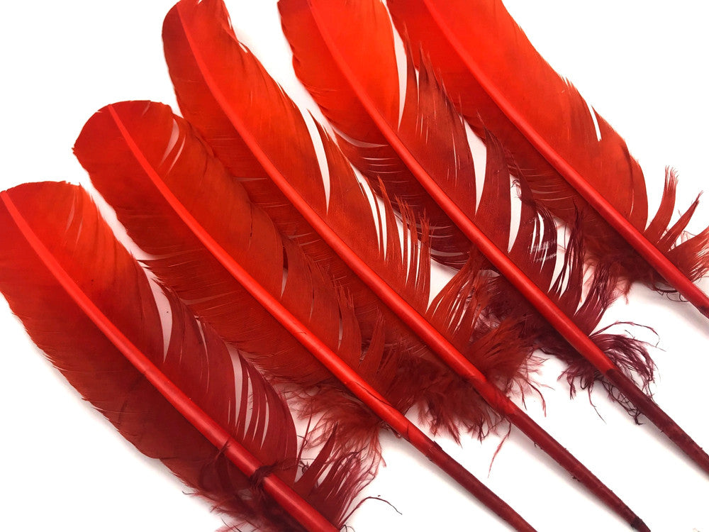 6 Pieces - Fiery Red Ombre Turkey Round Tom Wing Quill Feathers