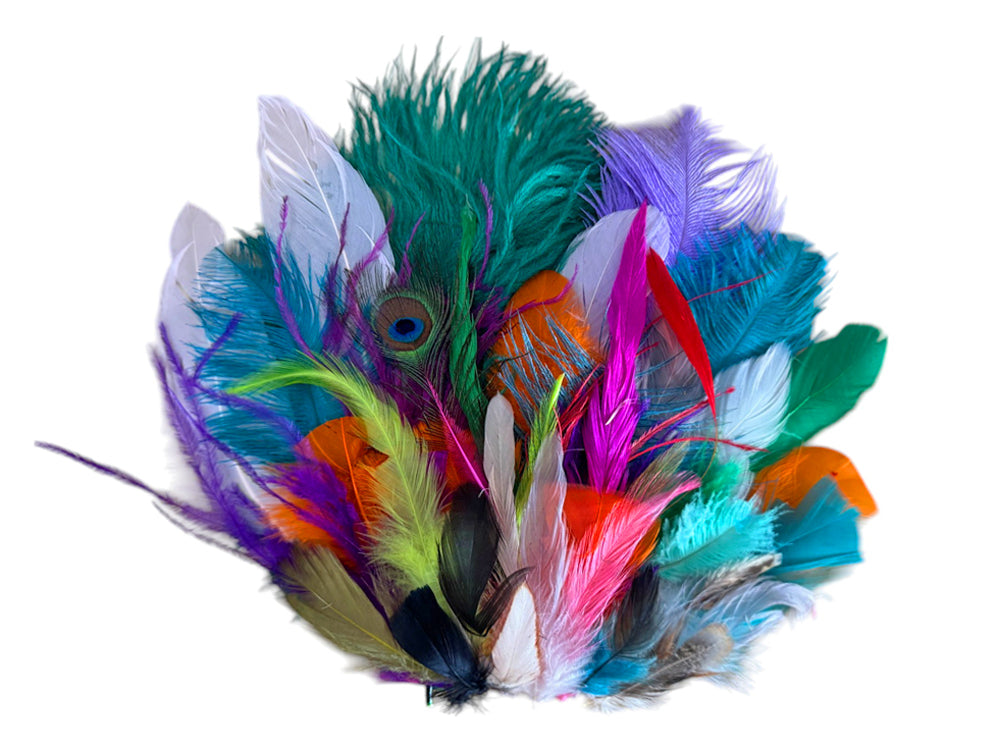 Collection 87 - Mix Random Feather Sample Pack (Bulk)