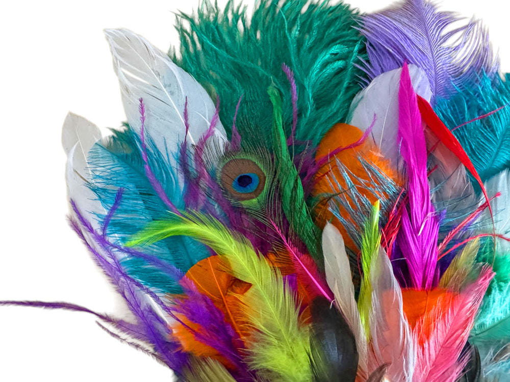 Collection 87 - Mix Random Feather Sample Pack (Bulk)