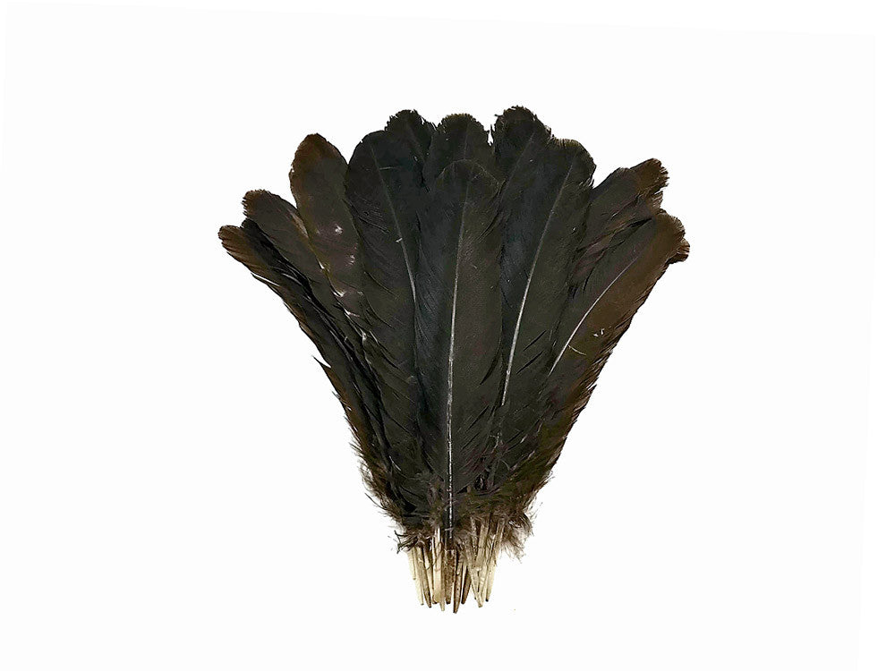 6 Pieces - Natural Brown Wild Turkey Rounds Secondary Wing Quill Feathers