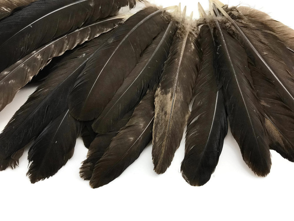 50 Pieces - Natural Brown Wild Turkey Rounds Secondary Wing Quill Wholesale Feathers (Bulk)