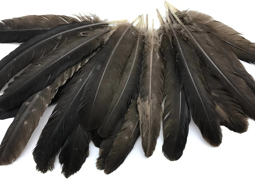 Wholesale Feathers, 1 Lb. - Wine Brown Turkey Rounds Secondary Wing Quill Wholesale Feathers (bulk) fashion Craft Supply : 5060