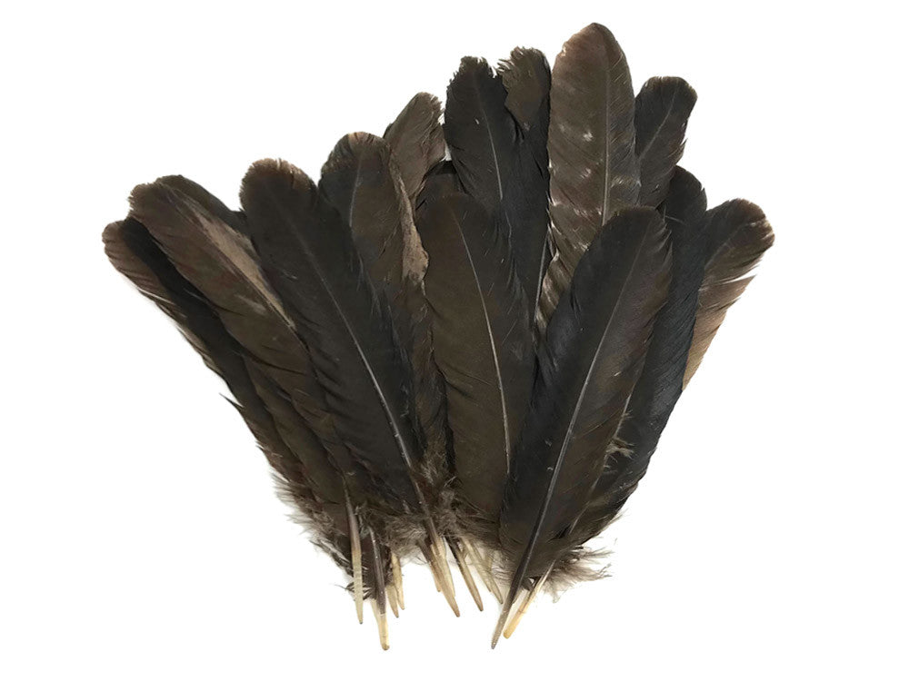 50 Pieces - Natural Brown Wild Turkey Rounds Secondary Wing Quill Wholesale Feathers (Bulk)