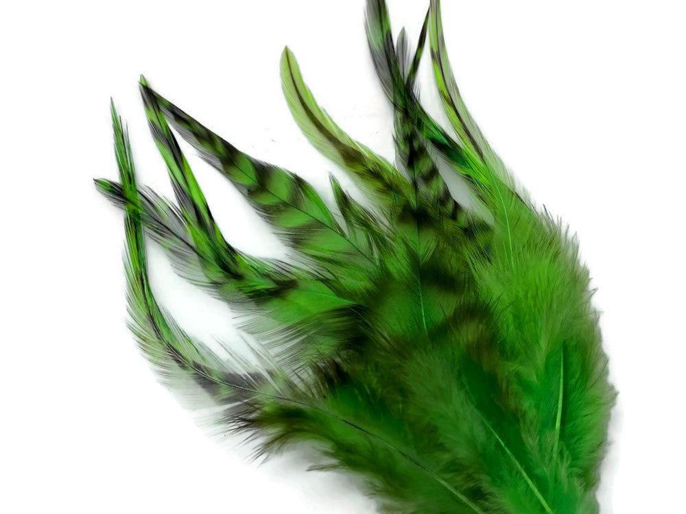 1 Dozen - Medium Unique Lime Rooster Saddle Whiting Hair Extension Feathers