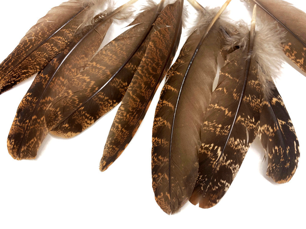 4 Pieces - Natural Large Brown Barred Hen Wing Feathers