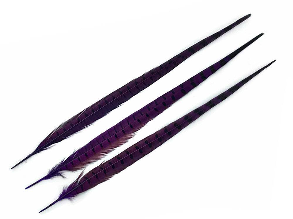 10 Pieces - 18-22" Purple Dye Over Natural Long Ringneck Pheasant Tail Feathers