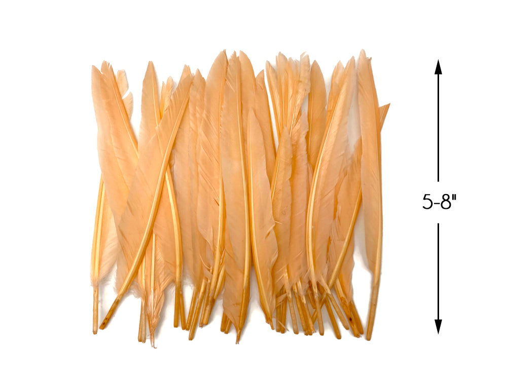 1/4 lbs. - Champagne Duck Pointer Primary Wing Wholesale Feathers (Bulk)