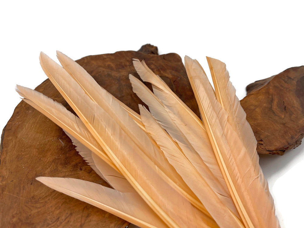 1/4 Lbs. - Champagne Duck Pointer Primary Wing Wholesale Feathers (Bulk)