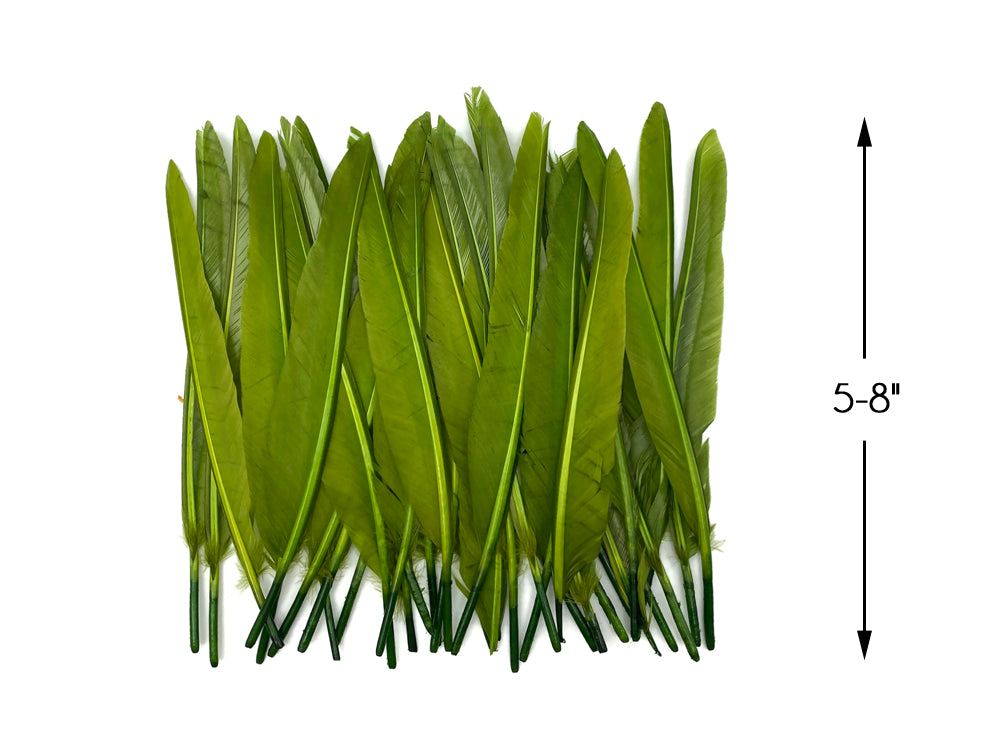 1/4 lbs. - Olive Green Duck Pointer Primary Wing Wholesale Feathers (Bulk)