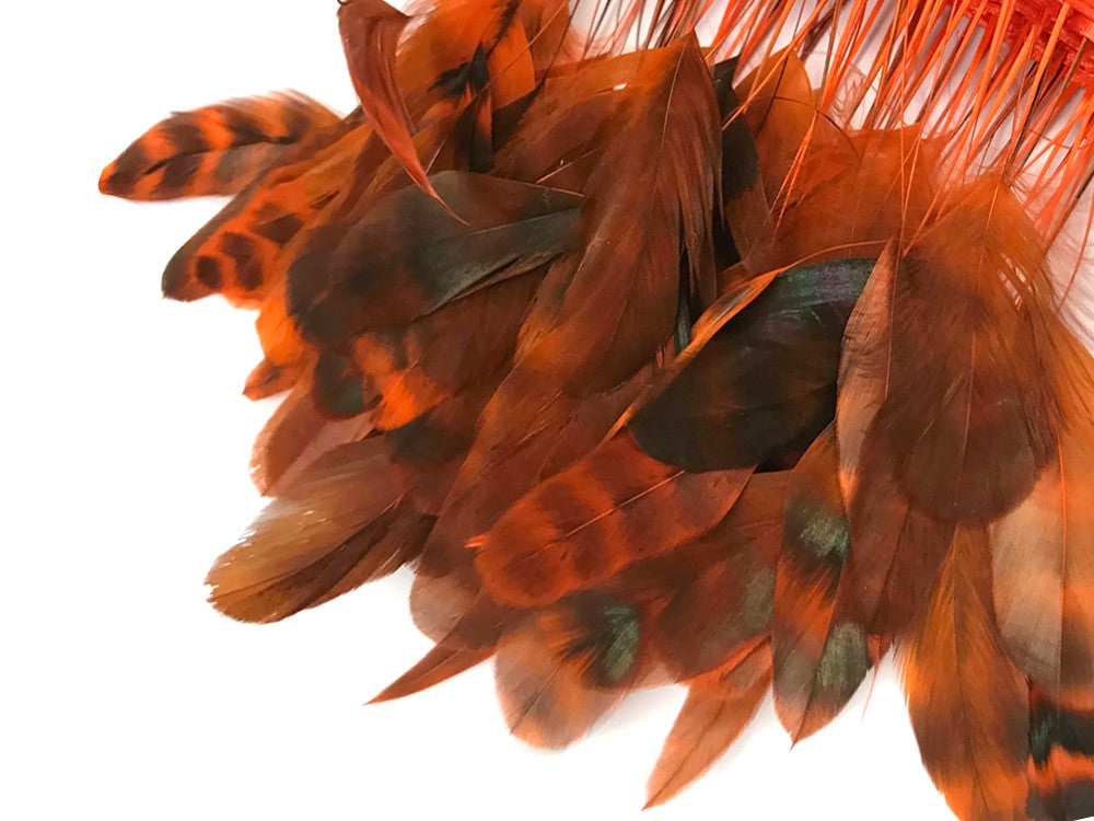 1 Dozen - Orange Chinchilla Stripped Rooster Coque Tail Feathers