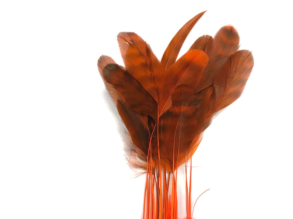 1 Dozen - Orange Chinchilla Stripped Rooster Coque Tail Feathers