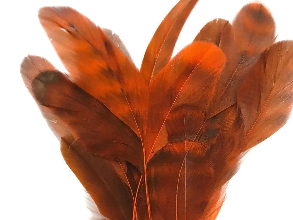 1 Dozen - Orange Chinchilla Stripped Rooster Coque Tail Feathers