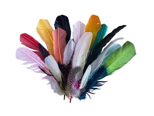 Collection 96 - Mix Random Feather Sample Pack (Bulk)