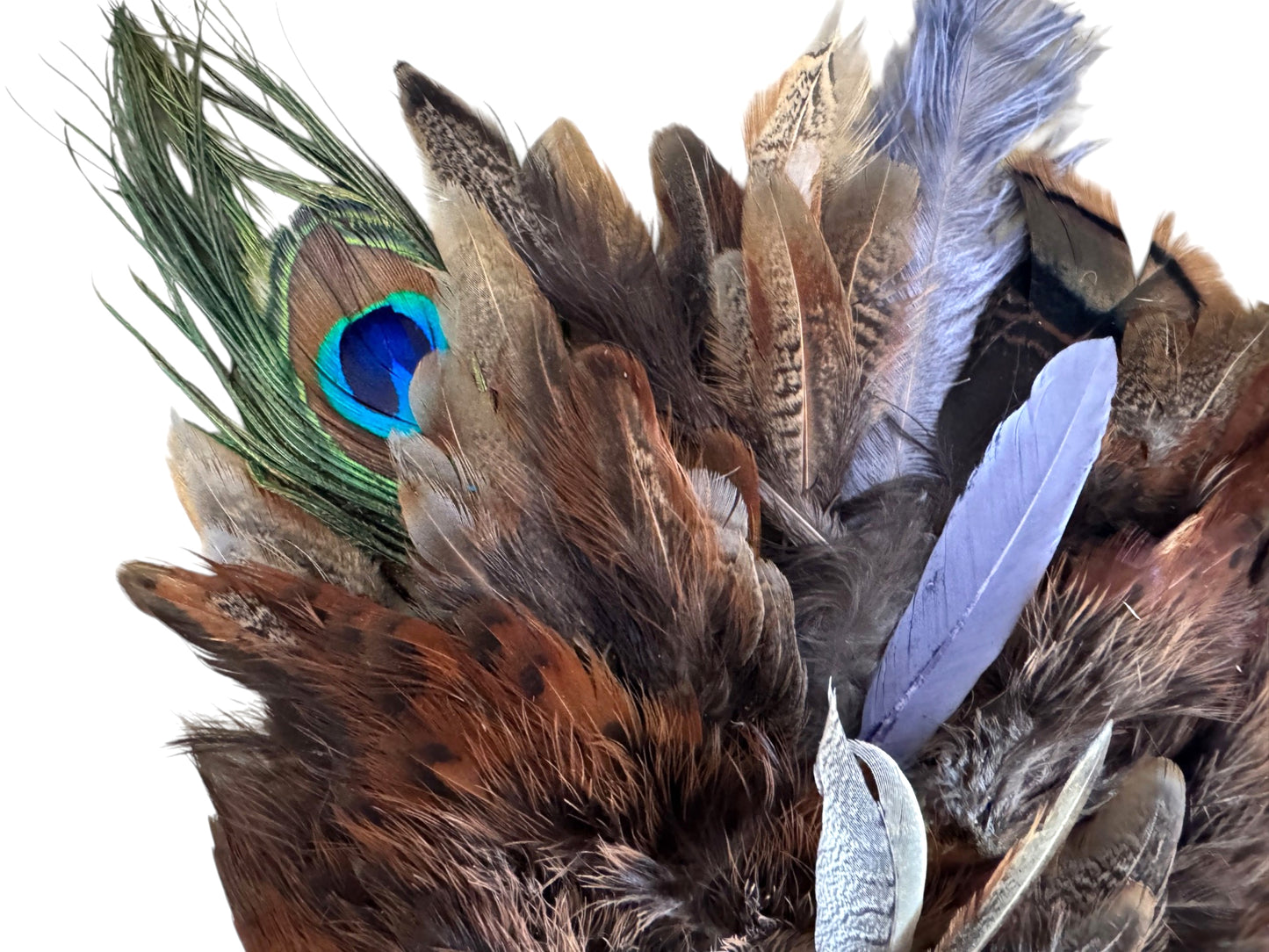 Collection 111 - Mix Random Feather Sample Pack (Bulk)