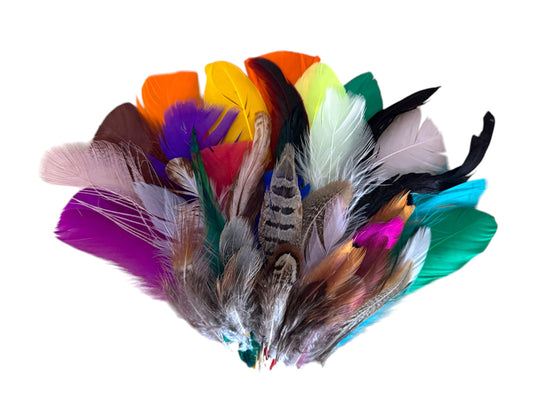 Collection 87 - Mix Random Feather Sample Pack (Bulk)