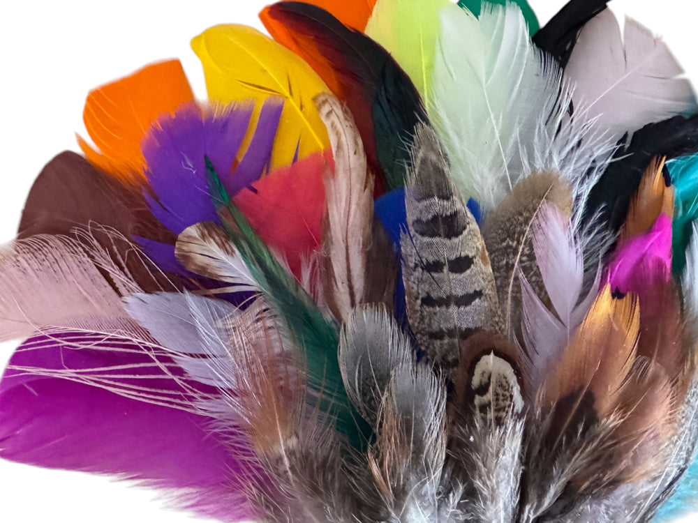 Collection 87 - Mix Random Feather Sample Pack (Bulk)