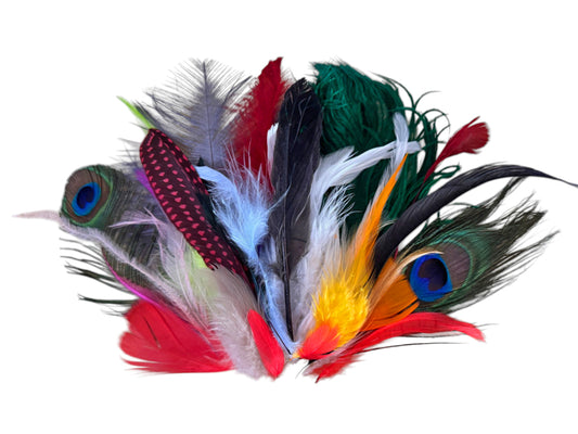 Collection 98 - Mix Random Feather Sample Pack (Bulk)