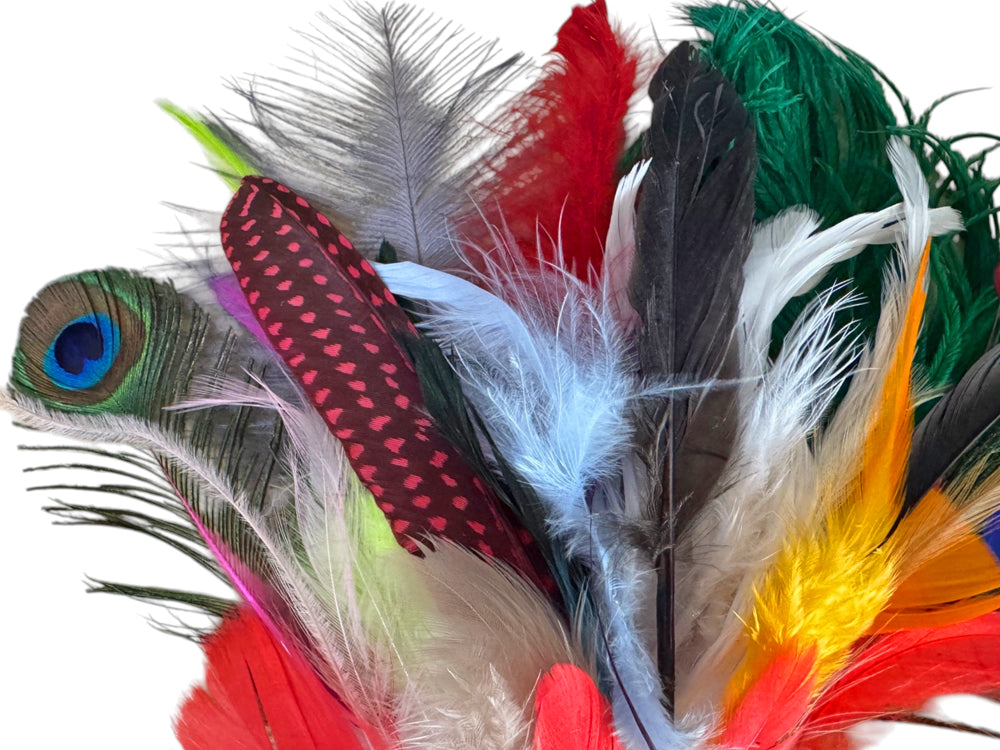 Collection 98 - Mix Random Feather Sample Pack (Bulk)