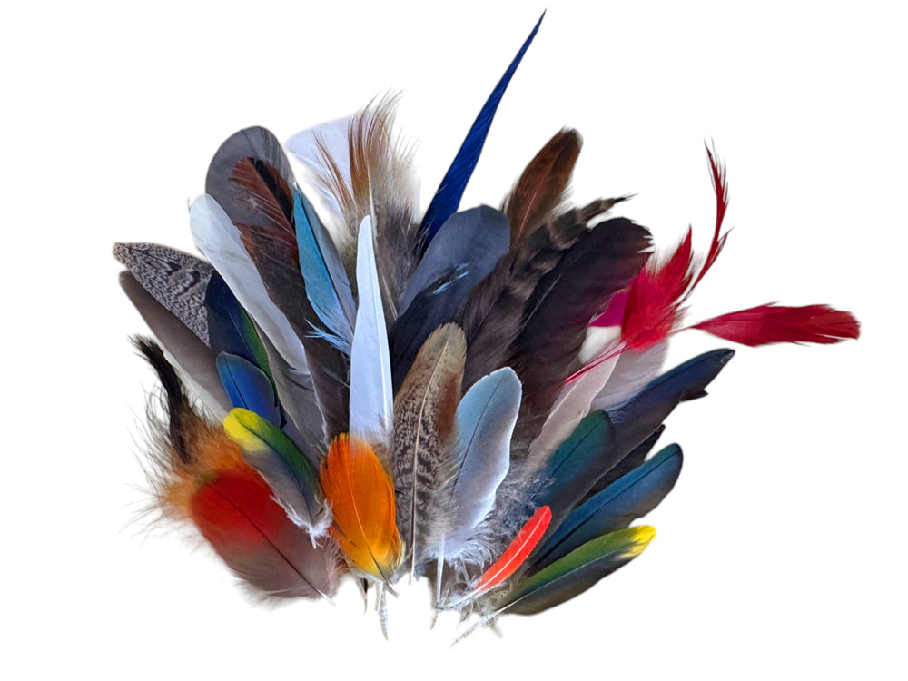 Collection 95 - Mix Random Feather Sample Pack (Bulk)