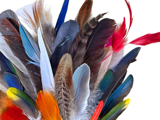 Collection 95 - Mix Random Feather Sample Pack (Bulk)