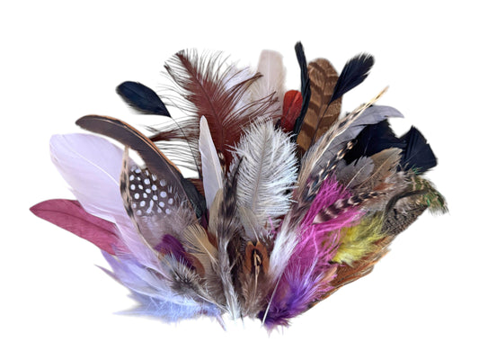Collection 76 - Mix Random Feather Sample Pack (Bulk)