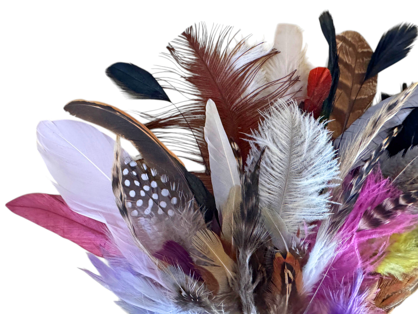 Collection 76 - Mix Random Feather Sample Pack (Bulk)