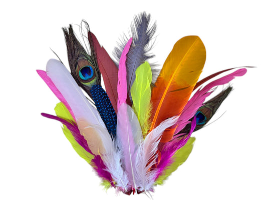 Collection 110 - Mix Random Feather Sample Pack (Bulk)