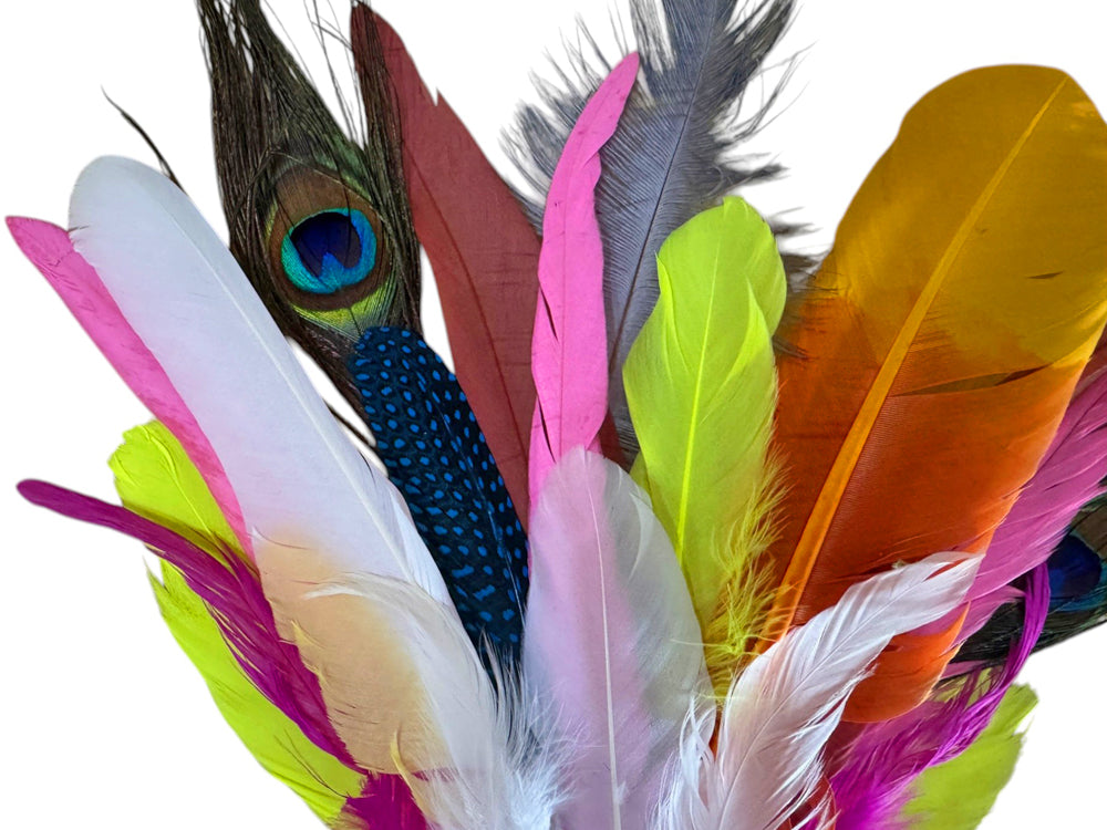 Collection 110 - Mix Random Feather Sample Pack (Bulk)