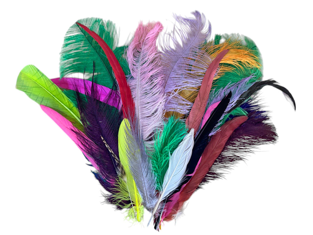Collection 100 - Mix Random Feather Sample Pack (Bulk)
