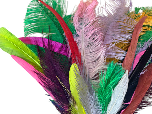 Collection 100 - Mix Random Feather Sample Pack (Bulk)