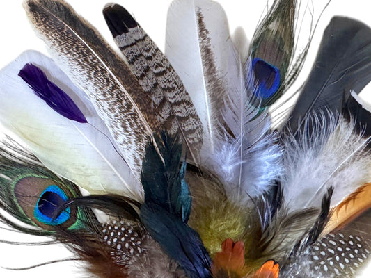 Collection 113 - Mix Random Feather Sample Pack (Bulk)