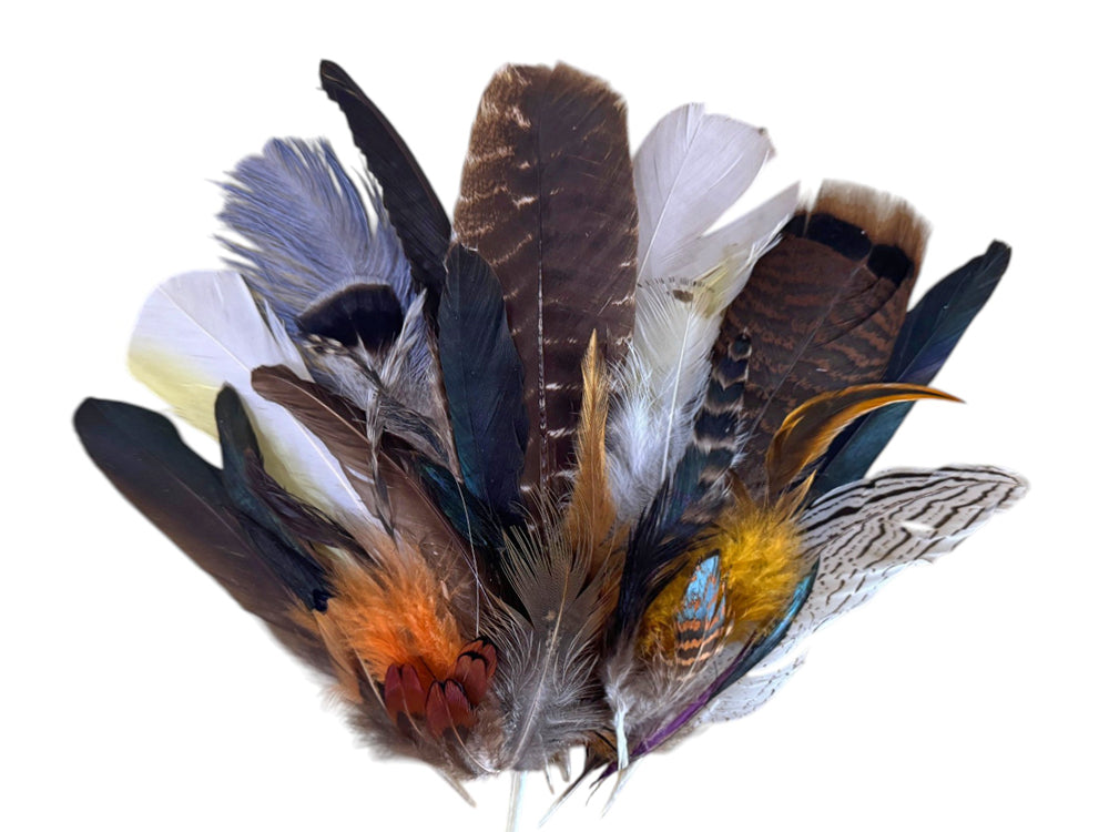 Collection 73 - Mix Random Feather Sample Pack (Bulk)