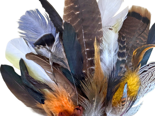 Collection 73 - Mix Random Feather Sample Pack (Bulk)