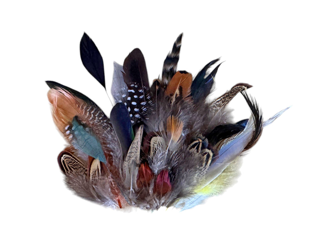 Collection 84 - Mix Random Feather Sample Pack (Bulk)