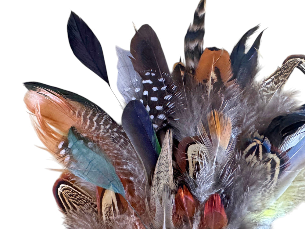 Collection 84 - Mix Random Feather Sample Pack (Bulk)