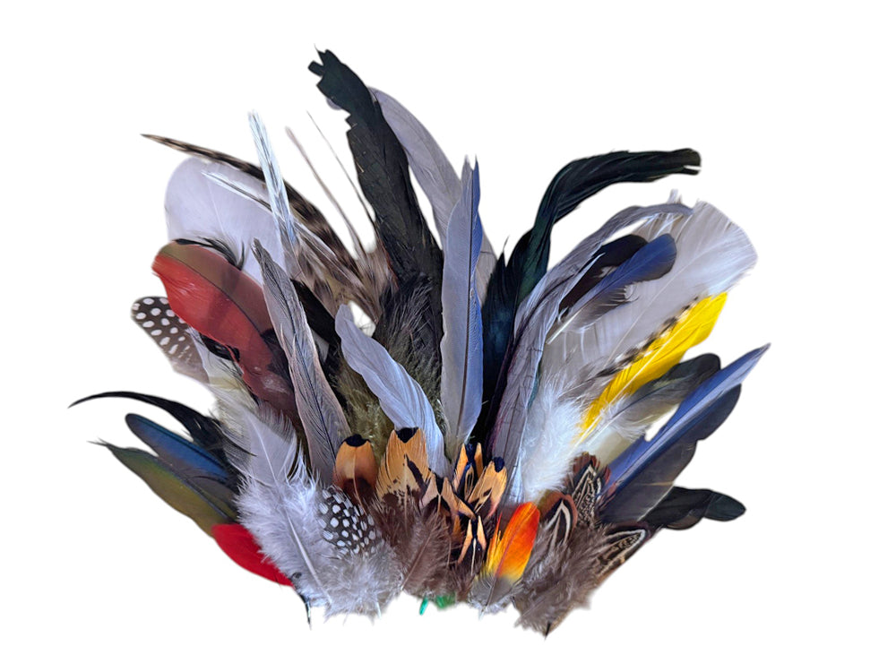 Collection 63 - Mix Random Exotic Feather Sample Pack (Bulk)