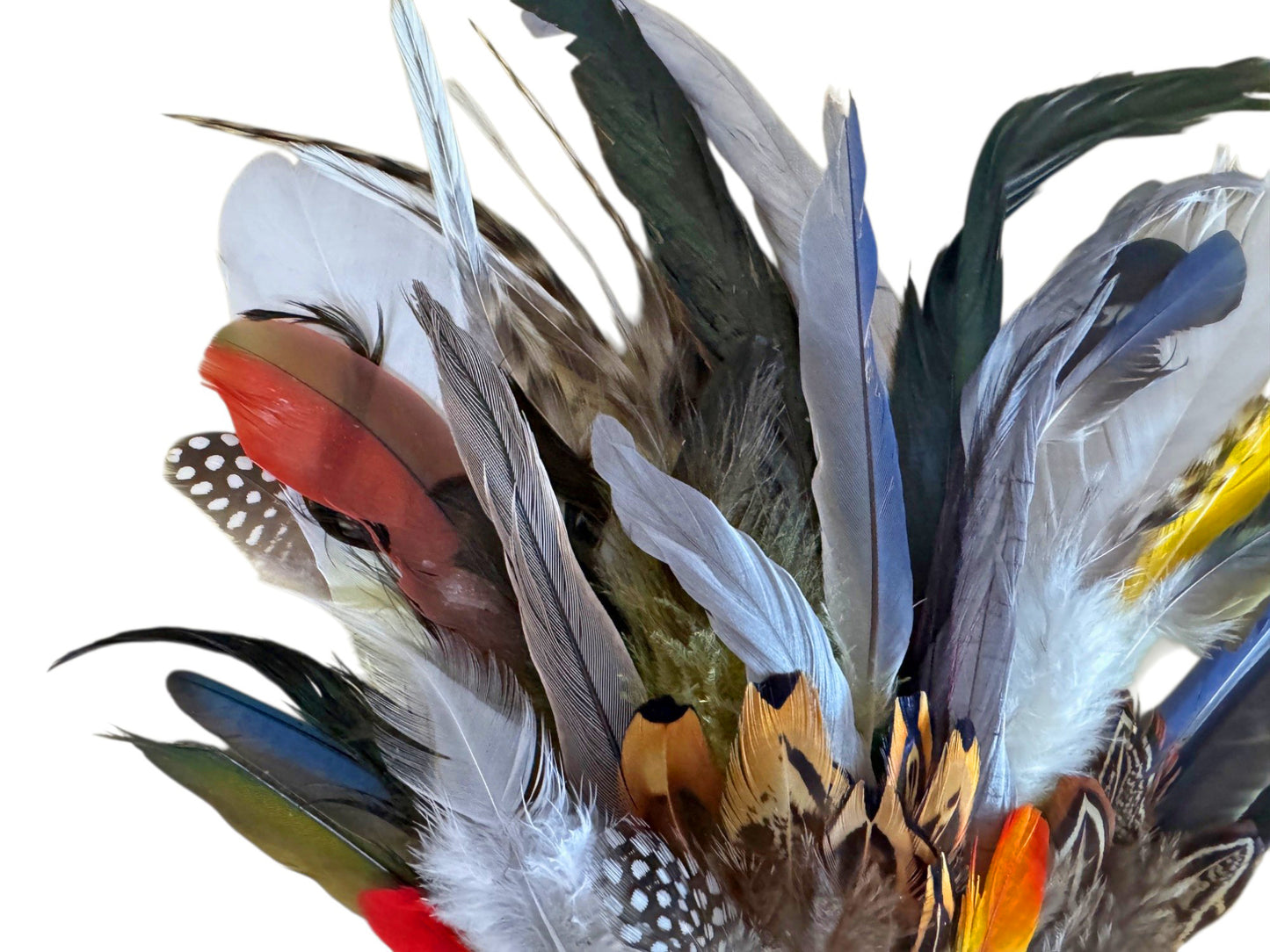 Collection 63 - Mix Random Exotic Feather Sample Pack (Bulk)