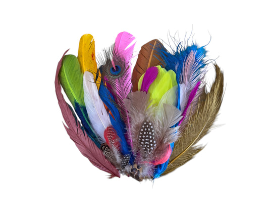 Collection 116 - Mix Random Feather Sample Pack (Bulk)