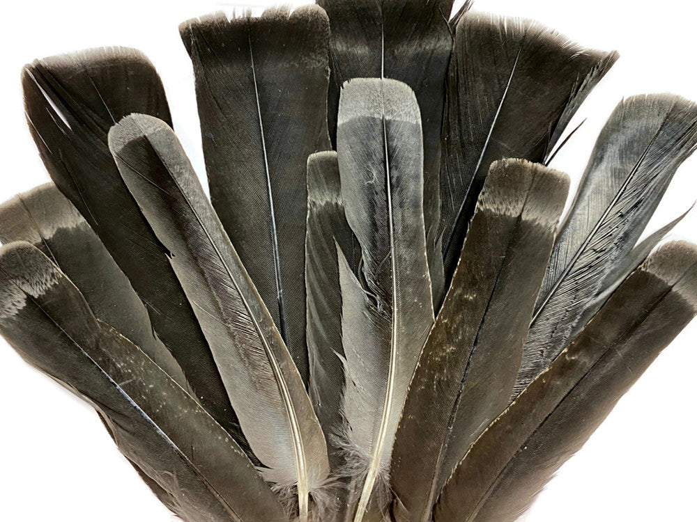 5 Pieces - Black with Gray Ruffed Grouse Tail Feathers