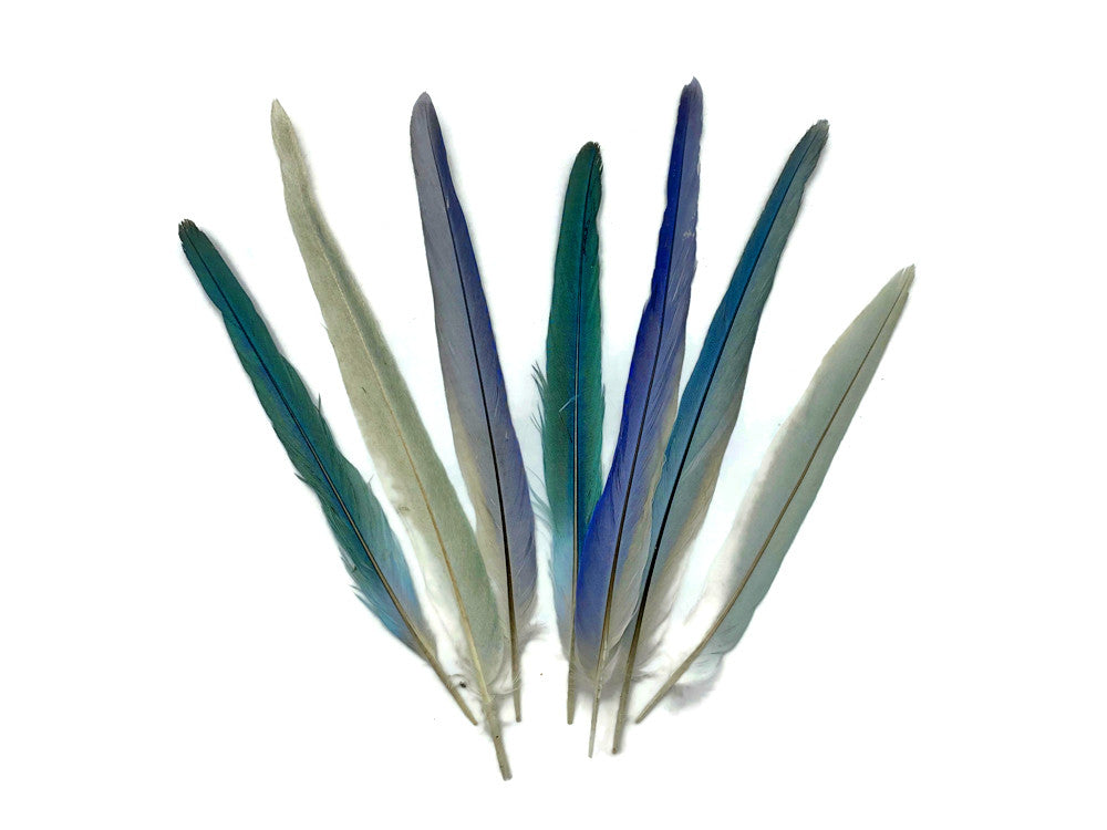 4 Pieces - Light Blue Mix Cockatiel Tail Ethically Sourced Feather